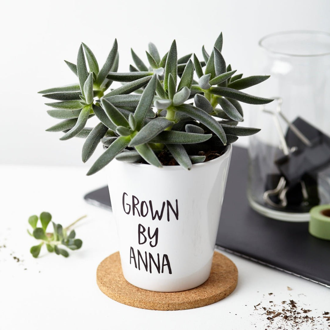 Personalised 'Grown By' Plant Pot - Tillyanna