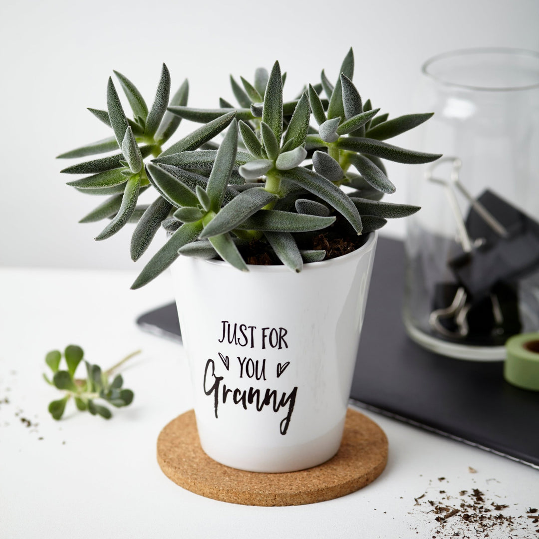 Personalised 'Just For You' Plant Pot - Tillyanna